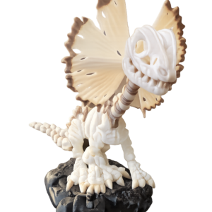 Dilophosaurus Skelton from veilboundrealms.com made in Huntingdon Cambs