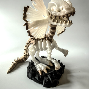 Dilophosaurus Skelton from veilboundrealms.com made in Huntingdon Cambs