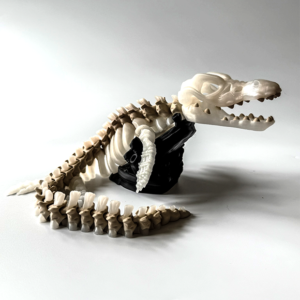 Mosasaurus Skeleton from veilboundrealms.com made in Huntingdon Cambs