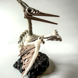 Pterodactyl Skeleton from veilboundrealms.com made in Huntingdon Cambs