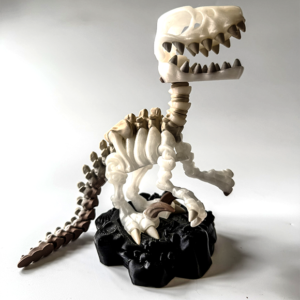 Raptor Skeleton from veilboundrealms.com made in Huntingdon Cambs