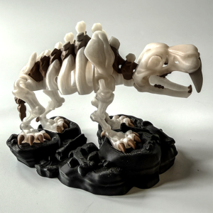 Sabretooth Skeleton from veilboundrealms.com made in Huntingdon Cambs