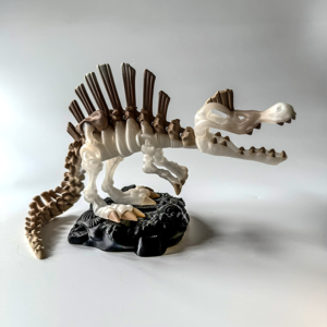 Spinosaurus Skeleton from veilboundrealms.com made in Huntingdon Cambs